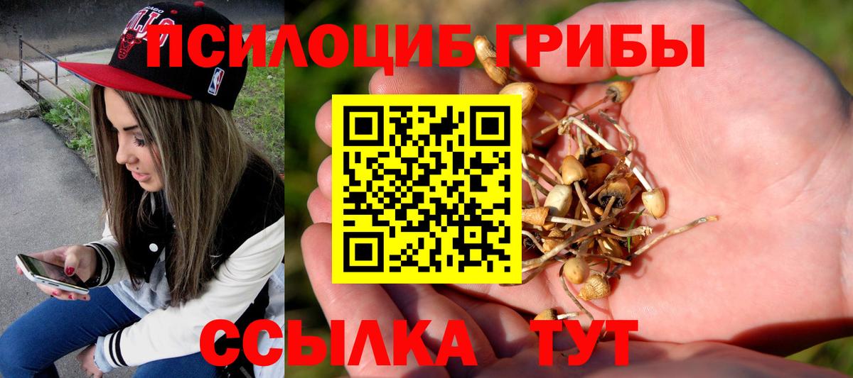 как найти закладки  Псилоцибиновые грибы прущие грибы  Вольск  Вход с VPN  Галлюциногенные грибы GOLDEN TEACHER 