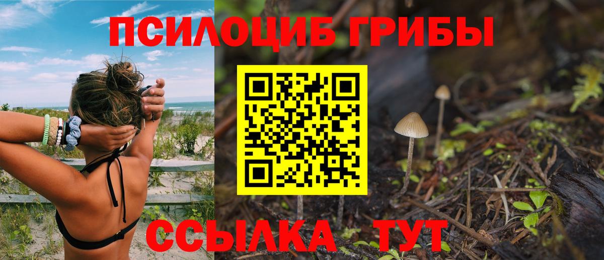 Псилоцибиновые грибы GOLDEN TEACHER Вольск